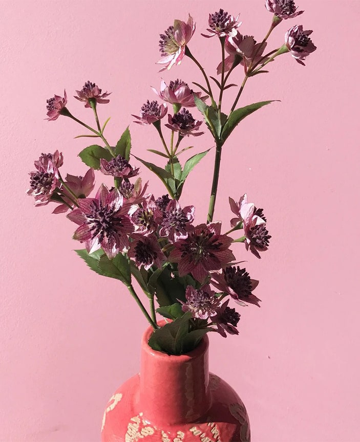 Flowers in a pink vase from The Plants Project